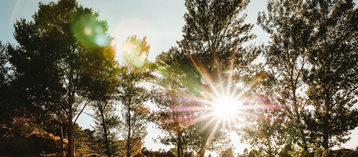 Sunset Flares.